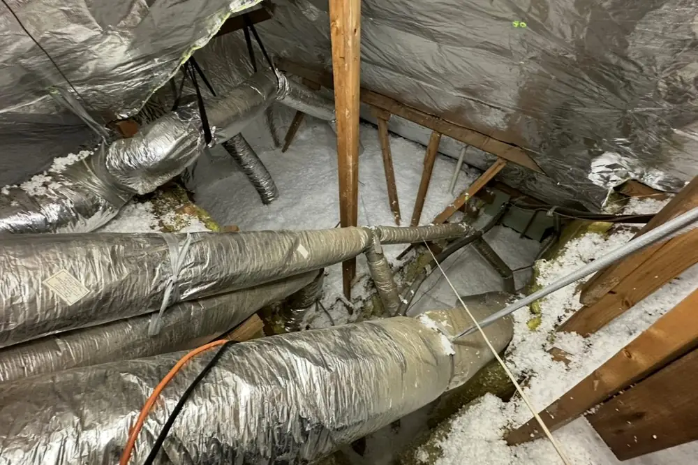 Same attic after: treated with barrier and fresh insulation
